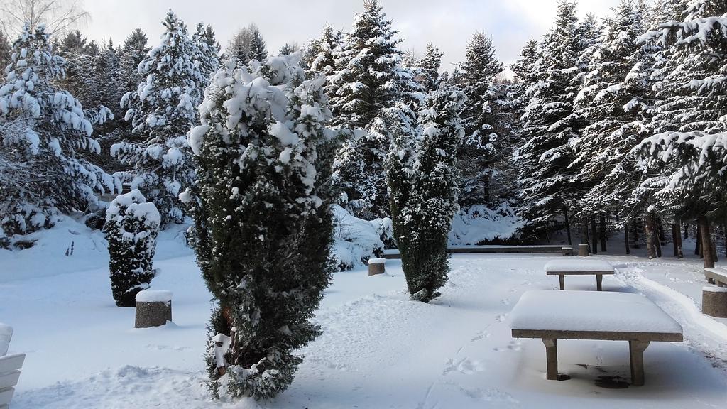 Ferienhotel Markersbach Εξωτερικό φωτογραφία